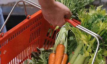 AGROALIMENTARE: NEL PRIMO TRIMESTRE DEL 2023 AUMENTANO PIL E CONSUMI